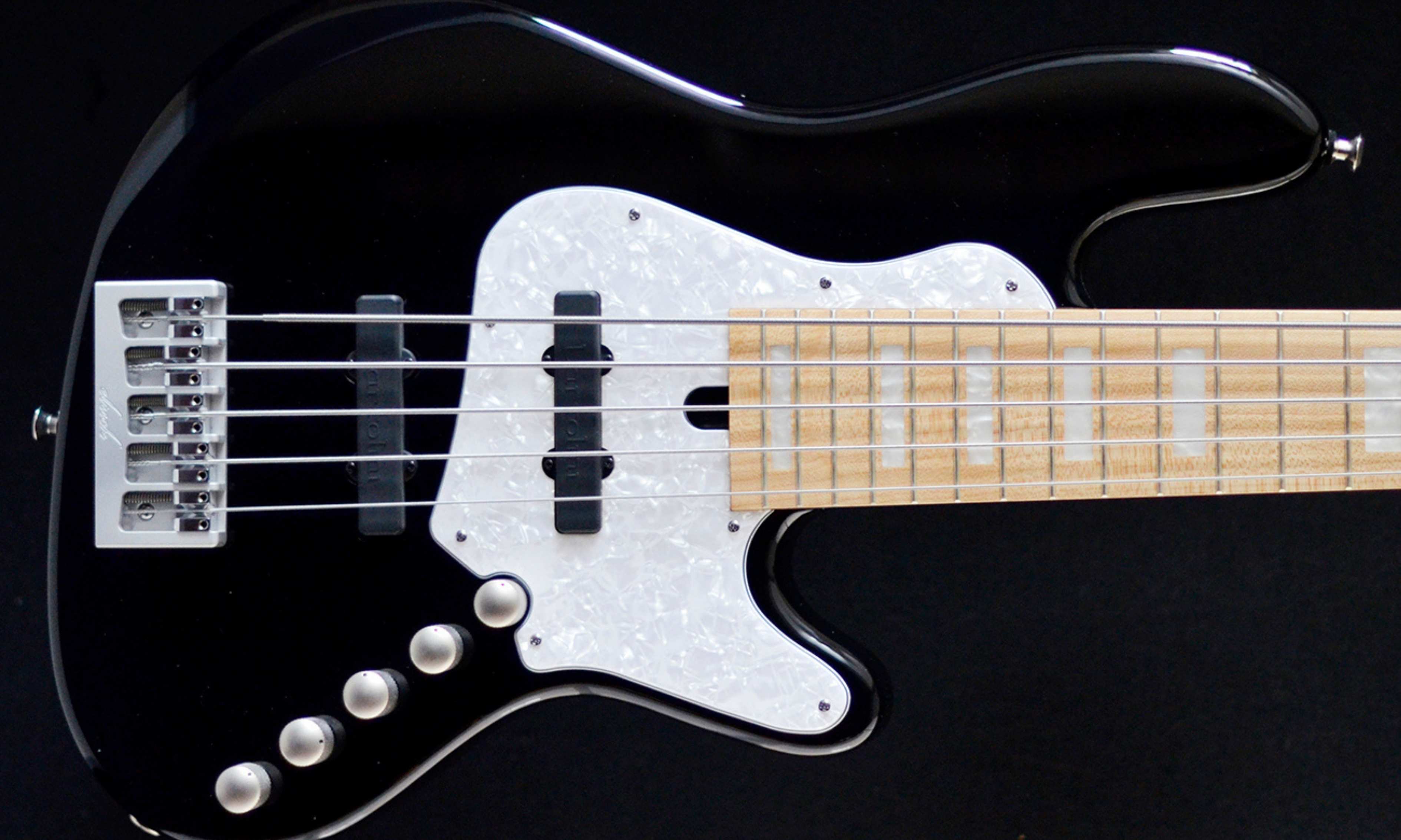 Elrick Expat eVolution 5-String ベース　5弦 ElrickE5116A.jpg?fit=1024,1024